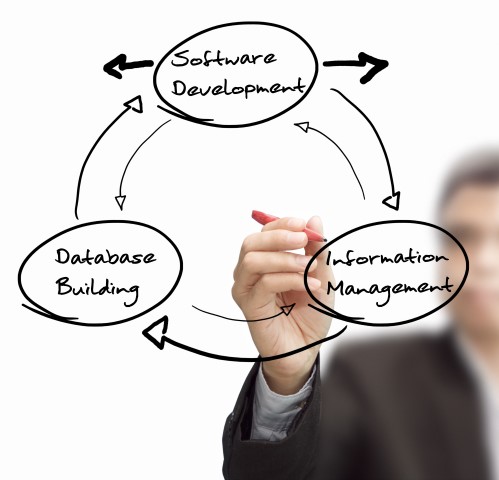 Office Objects Business Database development